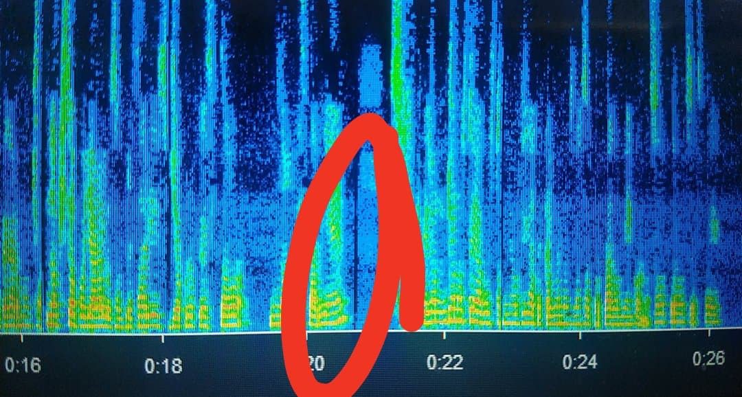 ¿Dulce en contra de Amlo? Audio manipulado, te decimos dónde y cómo fue 2 audio 2