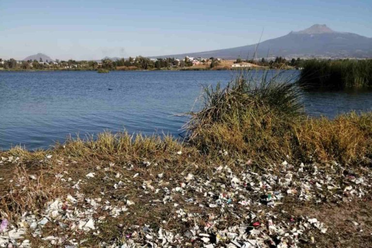 Así recibe el 2021 Laguna de Acuitlapilco; ciudadanos convocan a limpiarla