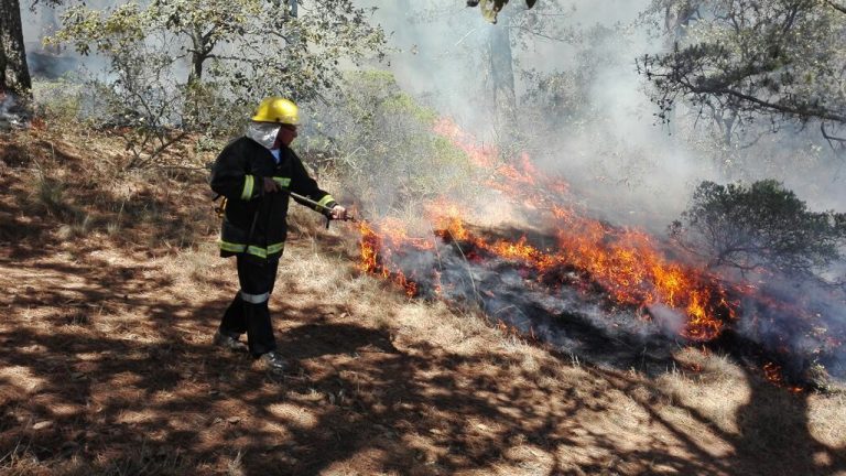 incendios-sintesis-tlaxcala-conafor.