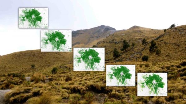 deforestación-Malinche-estacion-científica-Tlaxcala-Uatx.