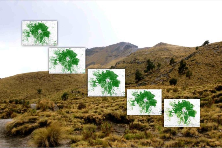 Así pierde su verde La Malinche: De 2000 a 2020 vista satelital lo muestra
