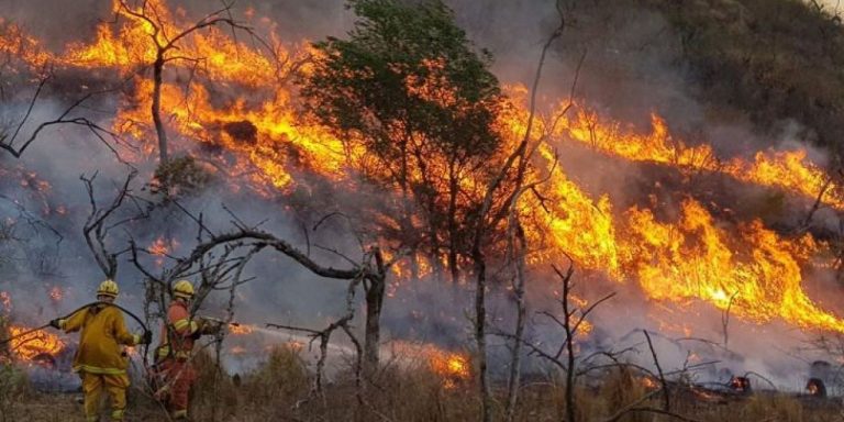 incendios forestales-tlaxcala-2021