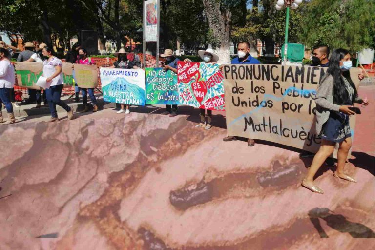 Malinche-Gusano descortezador-Tlaxcala-Comunidades Unidas