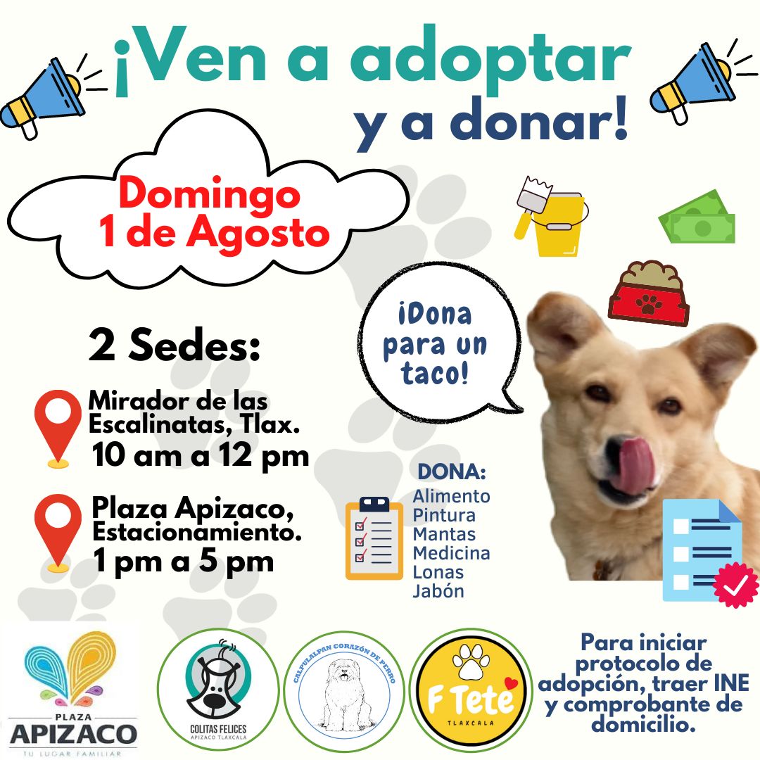 Perritos-Evento-Tlaxcala-Adopción