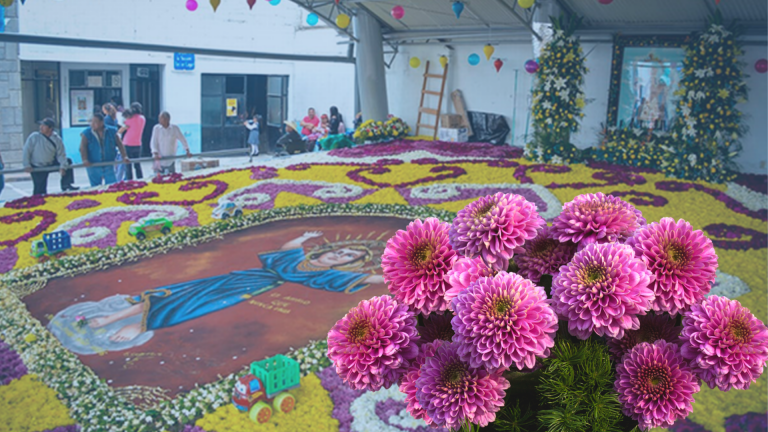 En Tlaxcala las alfombras tienen Dalia, flor nacional que hoy celebra su día