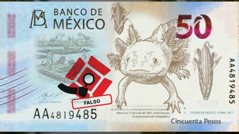 Banxico-Billete-Ajolotes-maíz