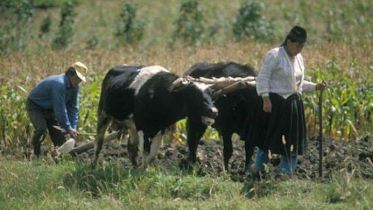 Se acelera pérdida del campo Tlaxcalteca; crecen afectaciones a campesinos