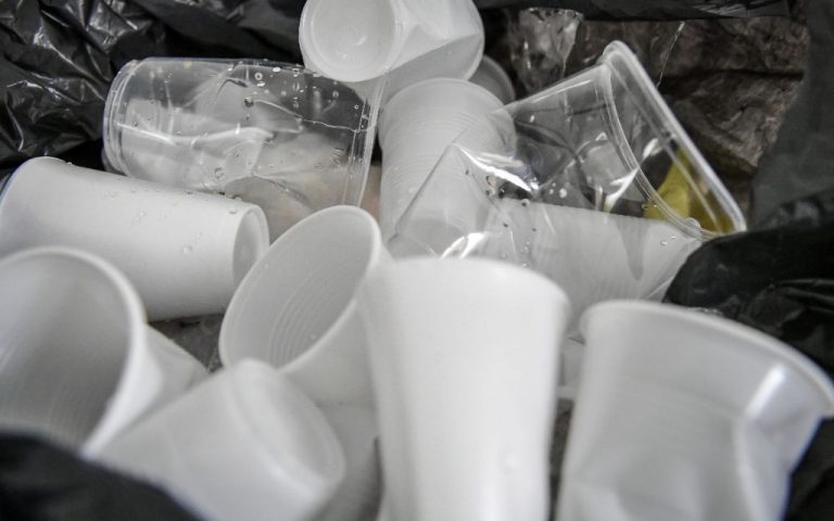Plásticos-Desechables-tlaxcala-ecologia-plasticos