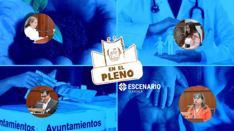 En El Pleno: Protección al ambiente, licencia de paternidad, salud universal y reelección