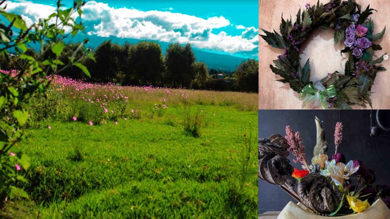 Hierbafría, floristería tlaxcalteca, le da una tercera vida a las flores