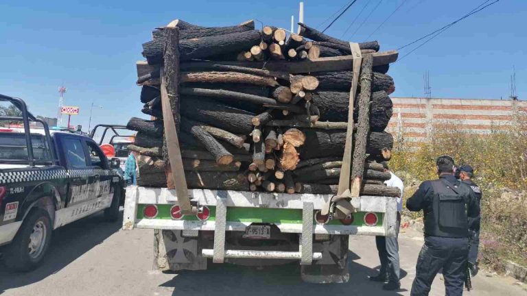Malinche: De 19 años el primer detenido por saqueo de su materia forestal
