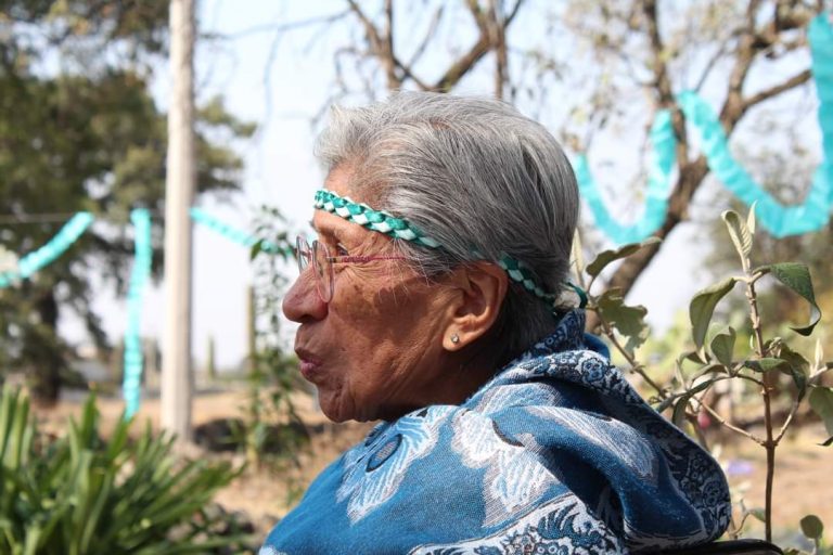 Día de la Mujer Rural: En Tetla, abuela Nahui enseña medicina tradicional