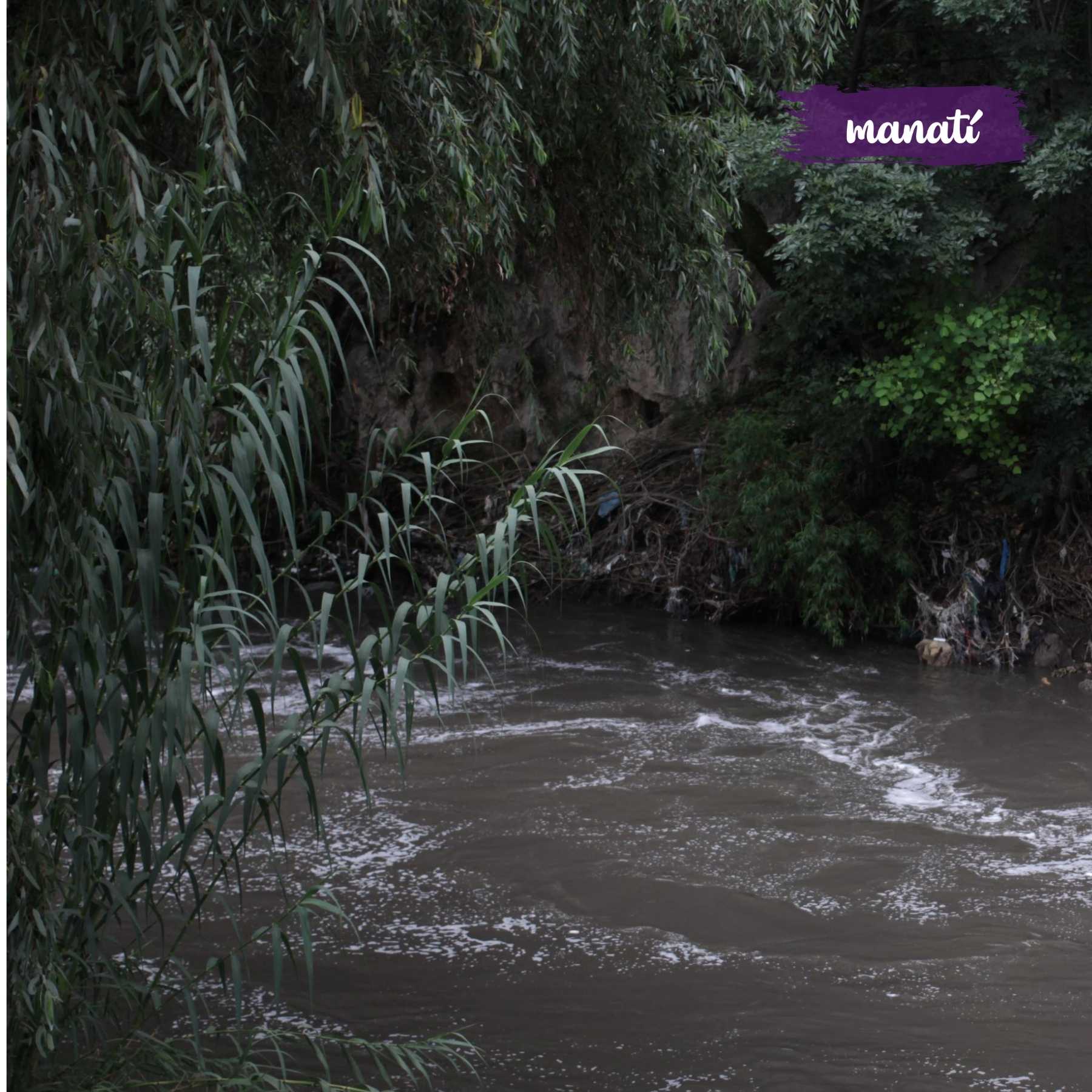 contaminacion Atoyac