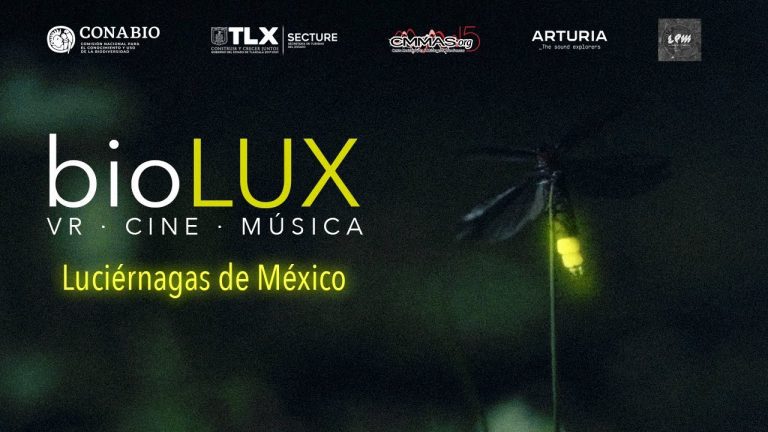 Presenta secture película biolux luciérnagas de méxico