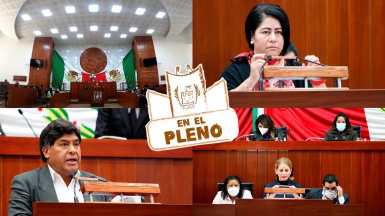 En el pleno: medio ambiente, y dos propuestas para Ley de salud