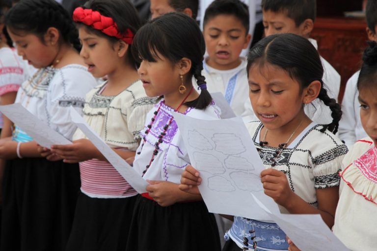 Educación: se acerca momento histórico, ¿se lucirá congreso con PcD e indígenas?