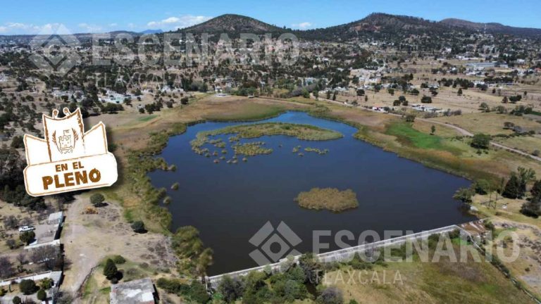 En el Pleno: Ley de Protección Ambiental plantea comisiones municipales