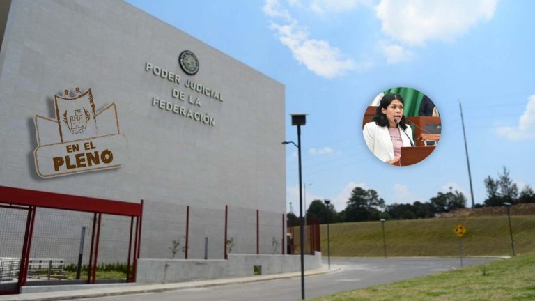 En el pleno 8M: Juzgados especializados para atender violencia de género