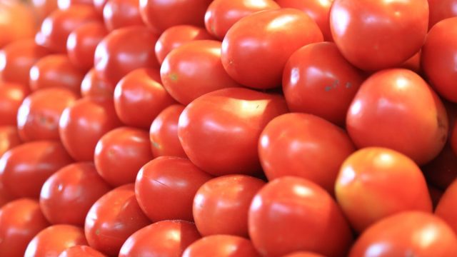 Bio-fertilizer can help domestic tomato producers