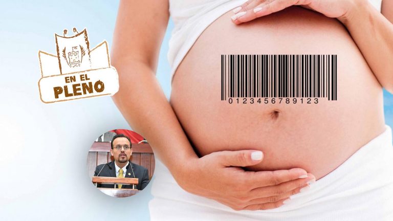 En el pleno: diputado propone castigar y prohibir la gestación subrogada
