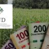 Financiera Nacional-FND-Tlaxcala-agricultura