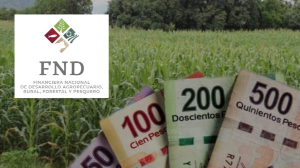 Financiera Nacional-FND-Tlaxcala-agricultura