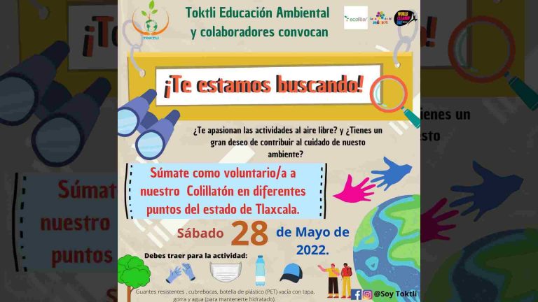 Tlaxcala se une a colecta de colillas de cigarros nacional a través de Toktli