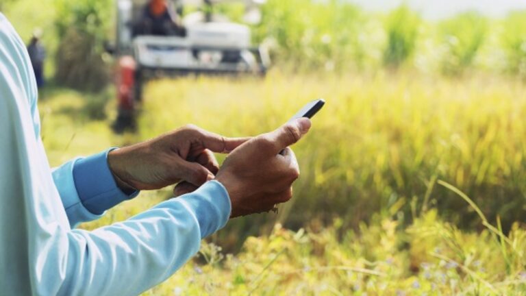 Internet para Todos: ¿a qué zonas de Tlaxcala aún les falta cobertura?
