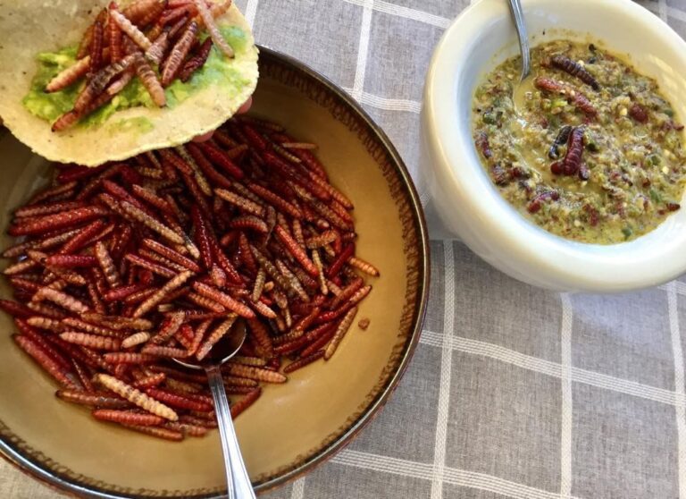 Esto tienes que saber de los chilocuil, el gusano de chile