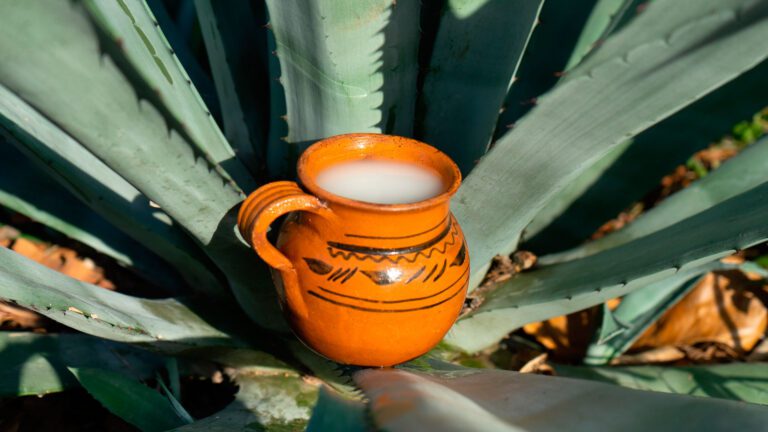 Mejor toma pulque; un litro de chela requiere 2.6 litros de agua