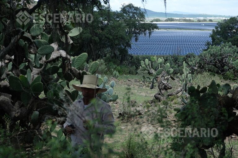 Calpulalpan-Marco-Mena-Tlaxcala-Parque-Solar-Plantas-Fotovoltaicas-ENGIE