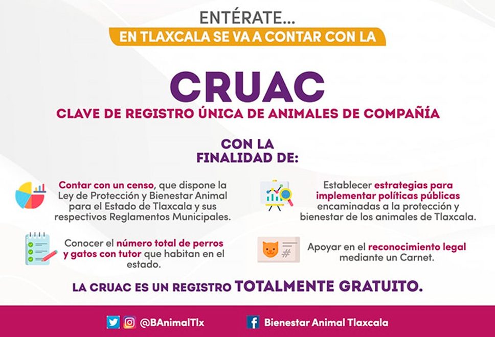 CURP para animales de compañía se otorgará en Tlaxcala 1 En Tlaxcala CURP para animales de compañía será una realidad