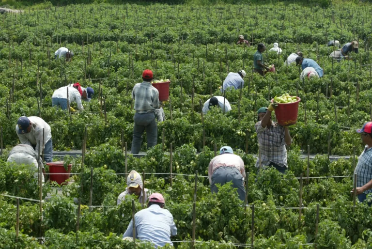 Remesas de paisanos tlaxcaltecas en EU impacta a más de 180 mil familias