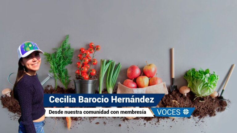 Colectivo Ecoalimentos: construyendo circuitos cortos agroalimentarios en Tlaxcala durante y post pandemia