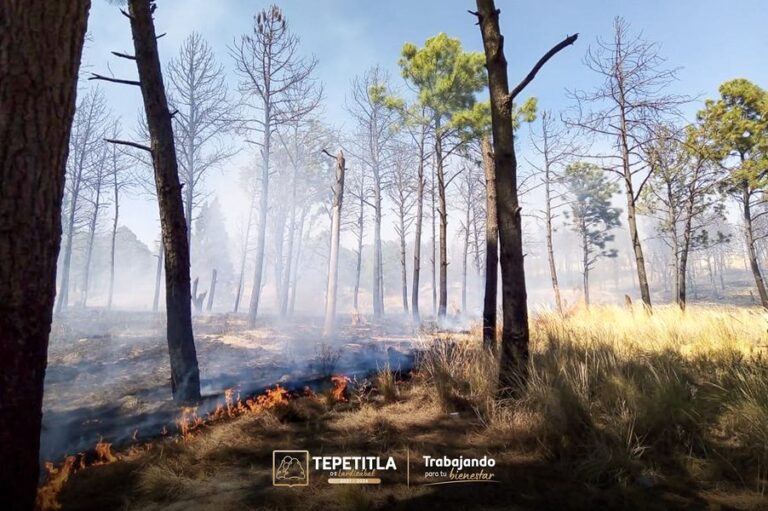 Se registra incendio en Tepetitla