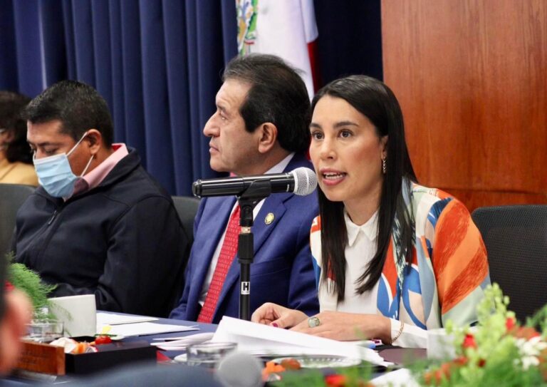Comparecencia de la Secretaria de Turismo, Josefina Rodríguez Zamora