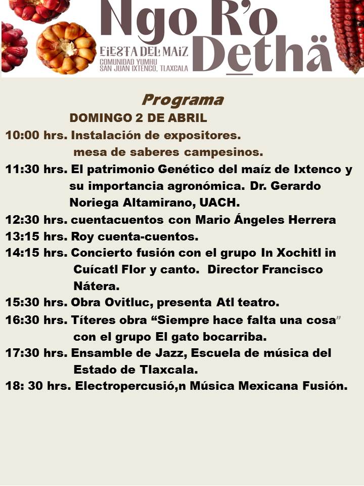 335435020 749409689894315 4771919969274757985 n