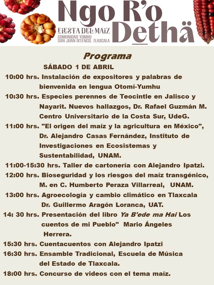 335560405 1136463417750197 1391049141838230841 n