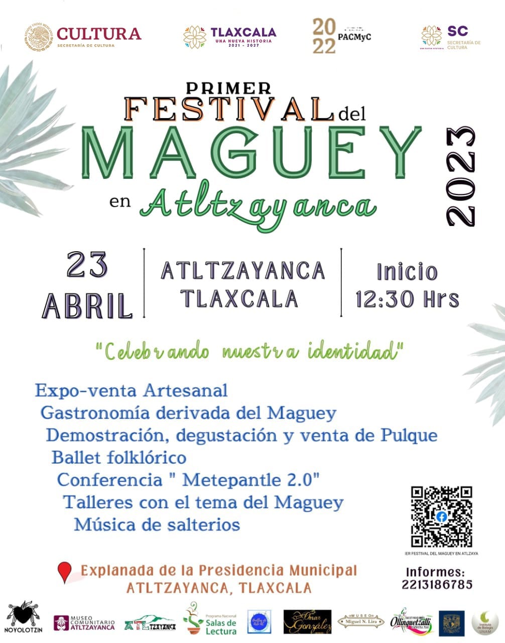 maguey