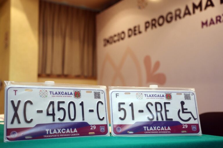 repuve-placas-tlax3