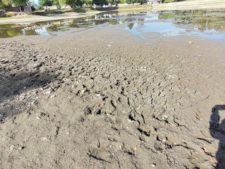 laguna-de-acomulco-zacatelco-ecología-tlaxcala-sequía-medio ambiente-
