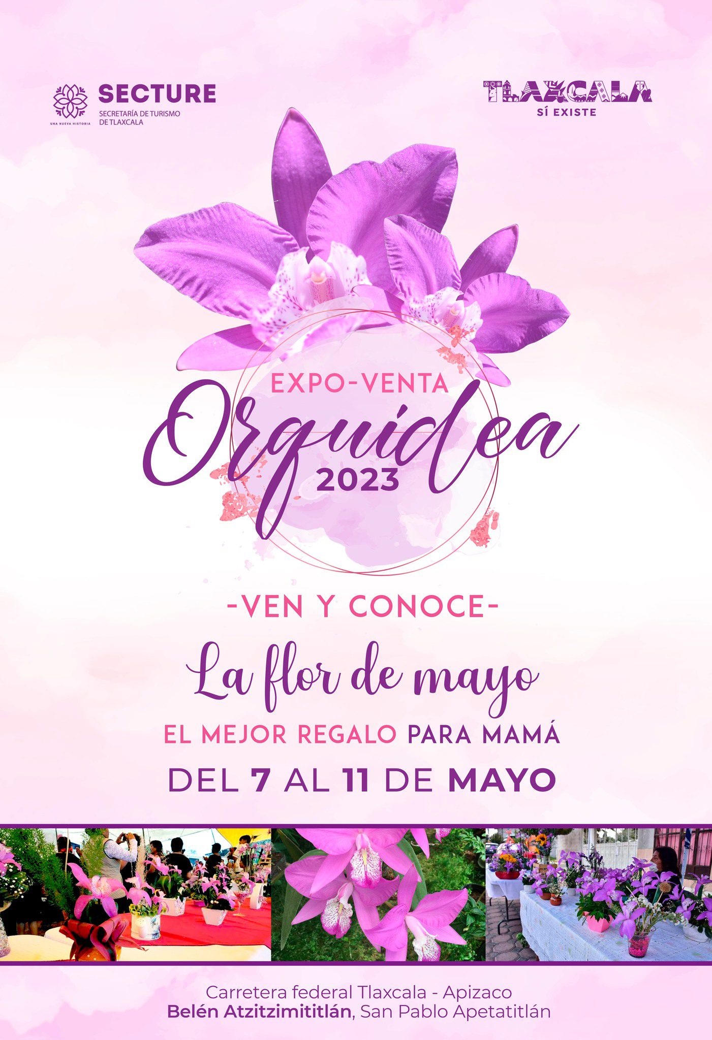 Expo-venta Orquidea 2023 en Belén Atzitzimititlán 2 orquidea