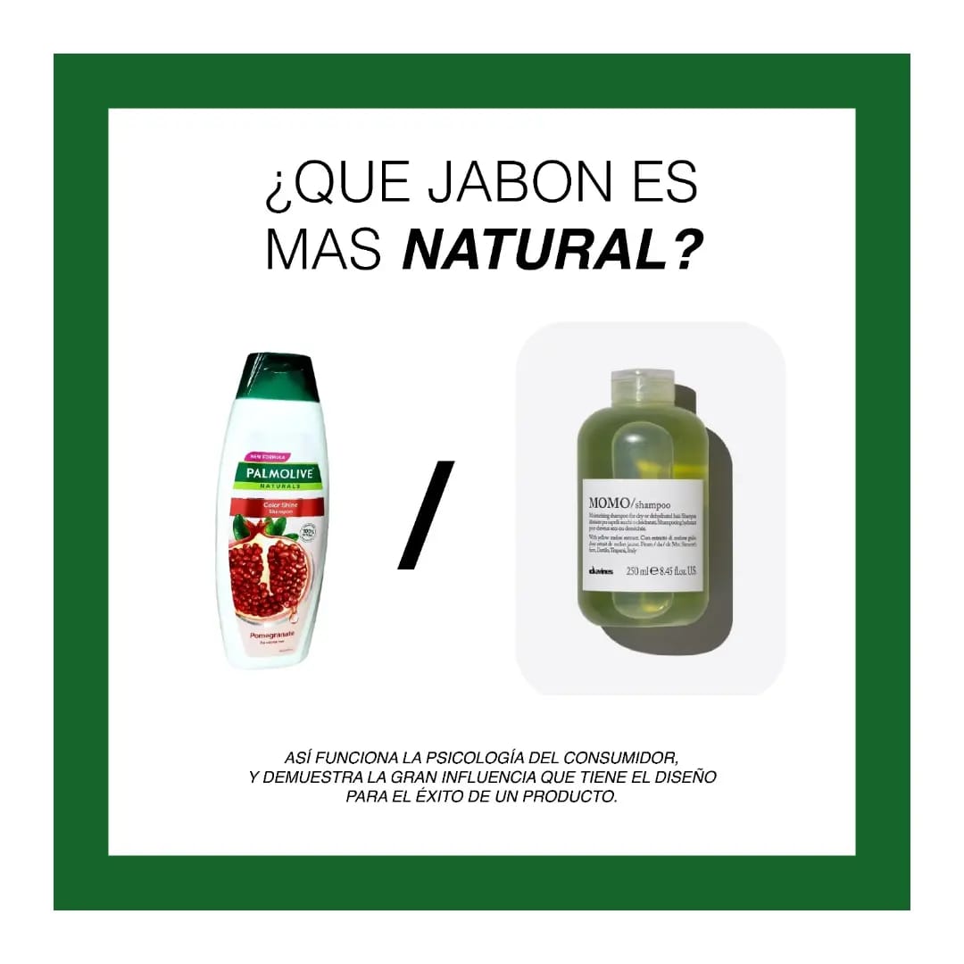 Charla para productorxs y artesanxs en Tlaxcala 3 Charla