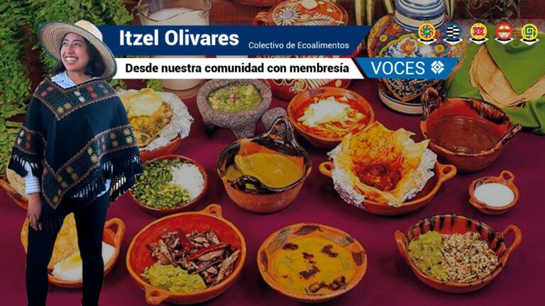 Cocina Tlaxcalteca, exponiendo un gigante desconocido
