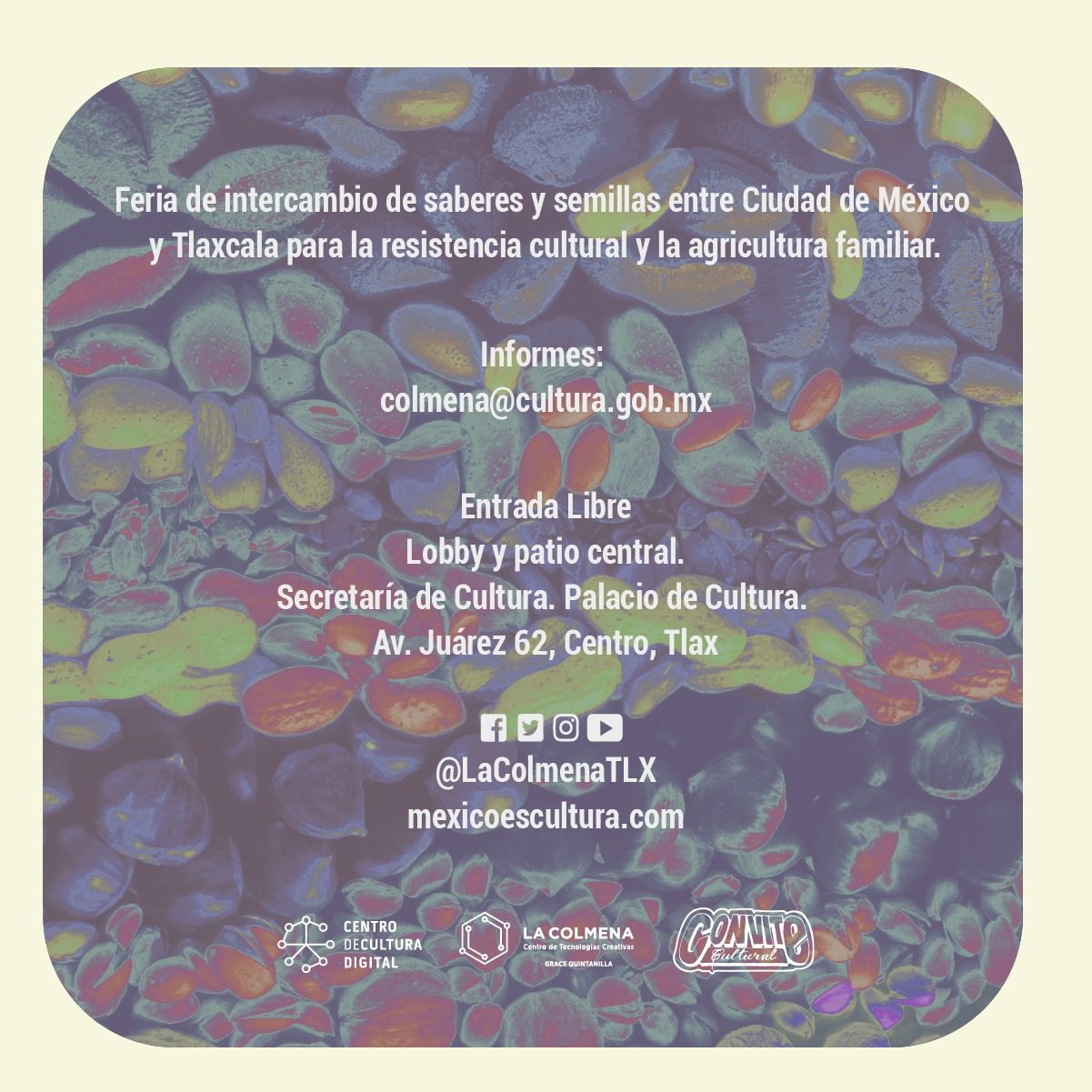 Intercambio de semillas en Palacio de Cultura de Tlaxcala 3 Intercambio