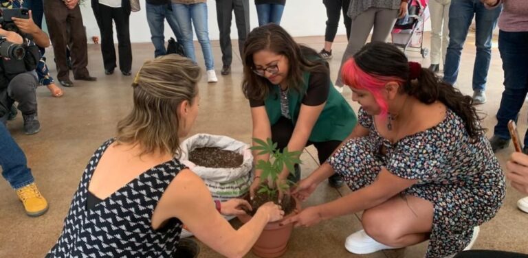 Mujeres cannábicas de Tlaxcala en la Comisión Estatal de Derechos Humanos.