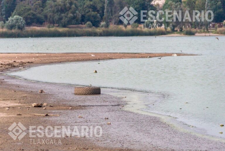 Restauración de la laguna de Acuitlapilco