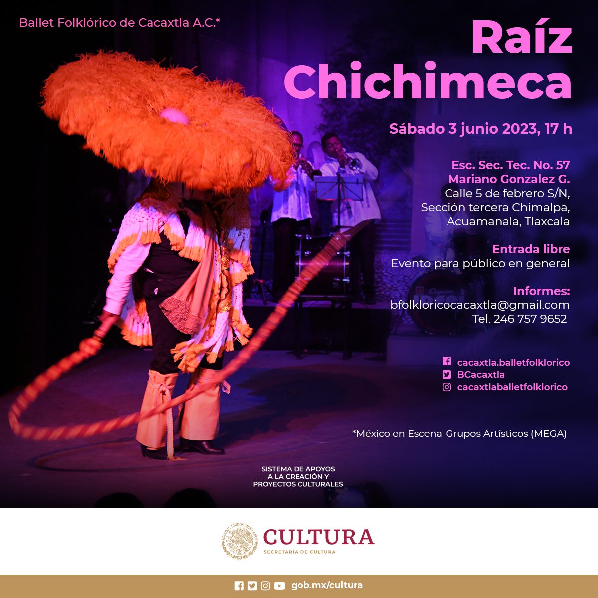 Raíz Chichimeca