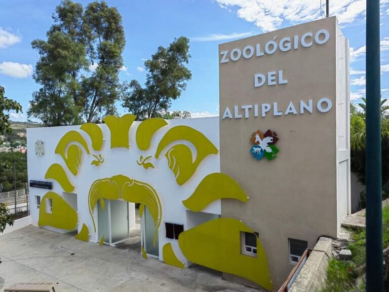 Lo nuevo en el Zoológico del Altiplano y cómo contribuye al bienestar animal