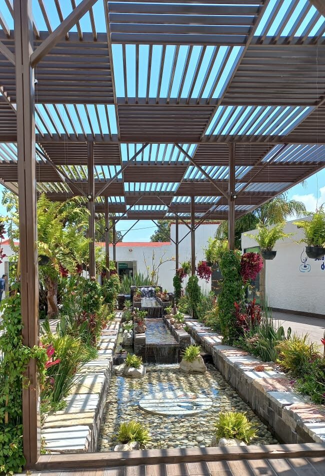 zoológico del altiplano-tlaxcala-cultura-animales-conservación.